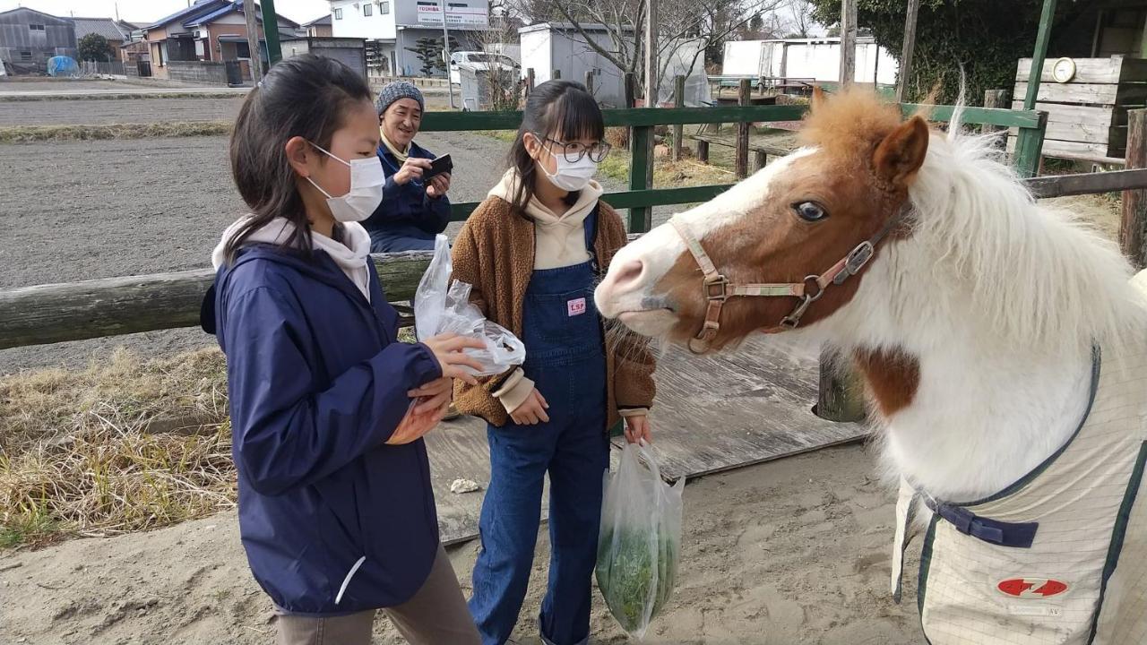 海辺のゲストハウスーぽかぽか村ー Исе Екстериор снимка